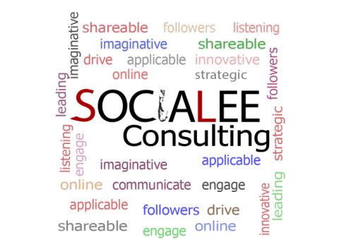 SociaLEE Consulting